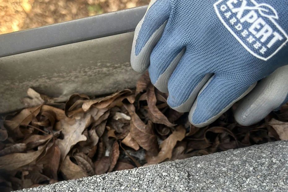 Gutter Cleaning Old Brooklyn